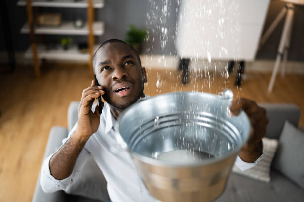 Best Ceiling water damage repair  in Monsey, NY