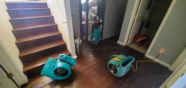 Best Basement water damage restoration  in Monsey, NY