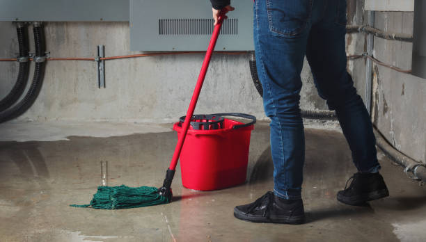 Best Fire Damage Restoration  in Monsey, NY