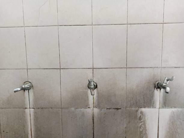 Best Flood restoration services  in Monsey, NY
