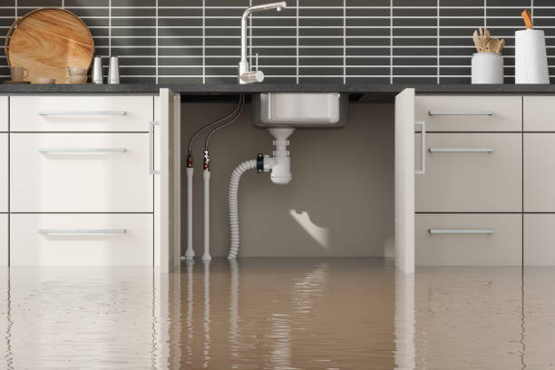 Best Water damage restoration near me  in Monsey, NY