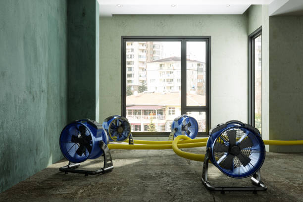 Best Mold removal after water damage  in Monsey, NY